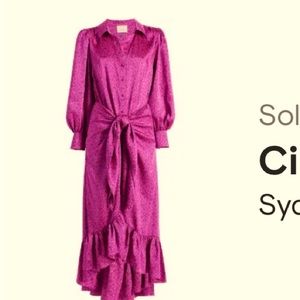 Cinq a Sept Sydney shirt dress